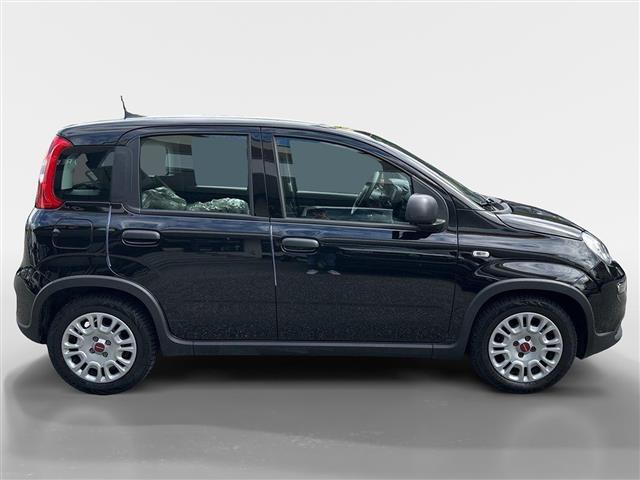 FIAT Panda III 2021 01515405_VO38053436