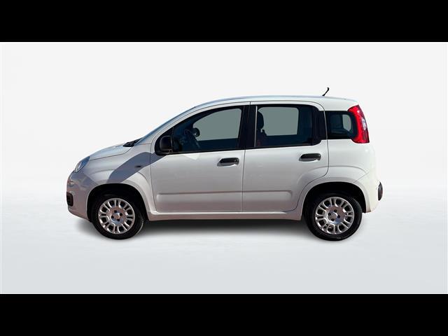 FIAT Panda 00887511_VO38013477