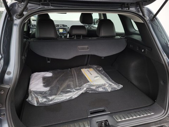 Exterieur Kadjar  grijs