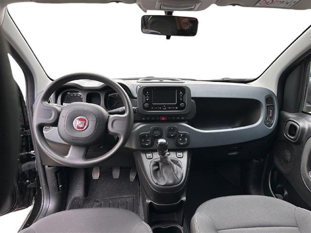 FIAT Panda III 2021 01515405_VO38053436