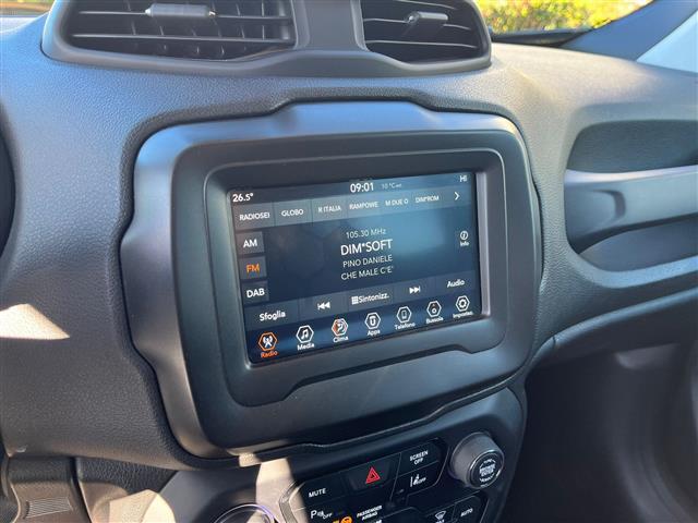 JEEP Renegade 2019 02641108_VO38043366