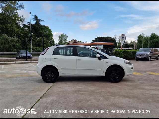 FIAT Punto 01091421_VO38013498