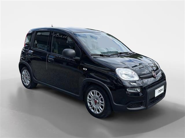FIAT Panda III 2021 01515405_VO38053436