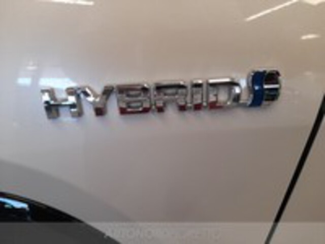 TOYOTA Rav4 V 2019 01887076_VO38013067