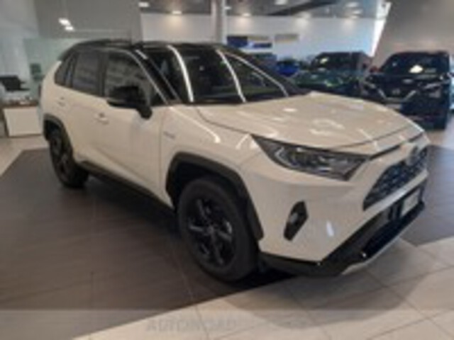 TOYOTA Rav4 V 2019 01887076_VO38013067