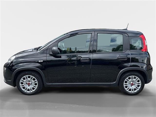 FIAT Panda III 2021 01515405_VO38053436