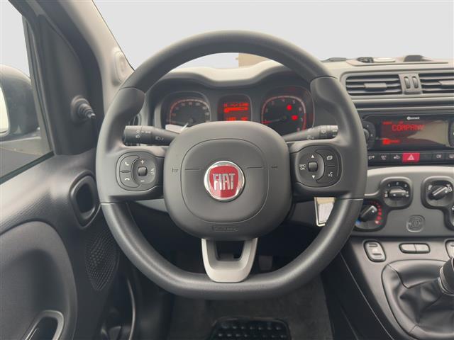 FIAT Panda III 2021 01157888_VO38013322