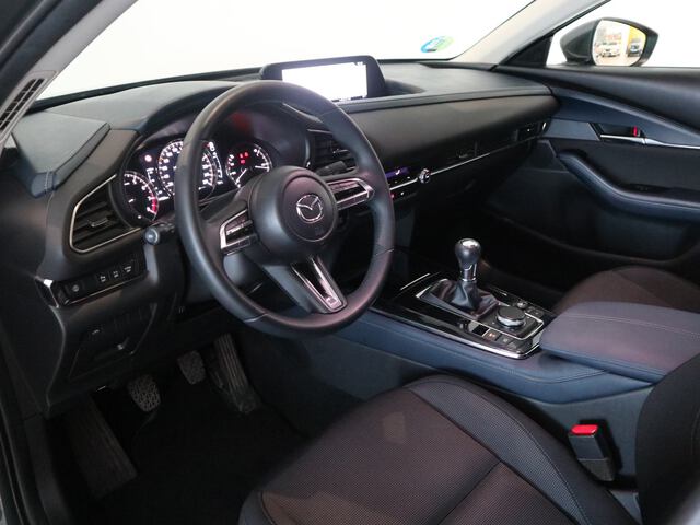 Inside CX-30  GRIS