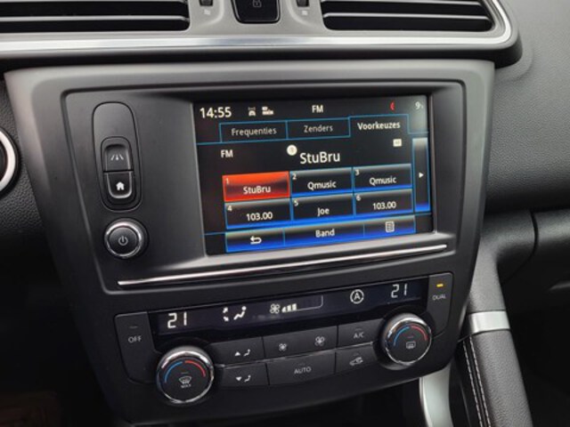 Exterieur Kadjar  grijs