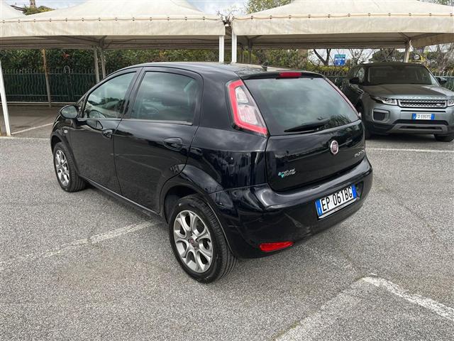 FIAT Punto 02640108_VO38043366