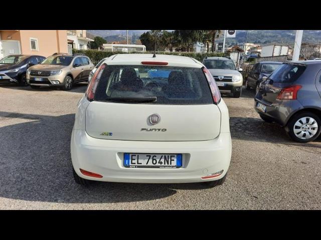FIAT Punto 00006142_VO38033579