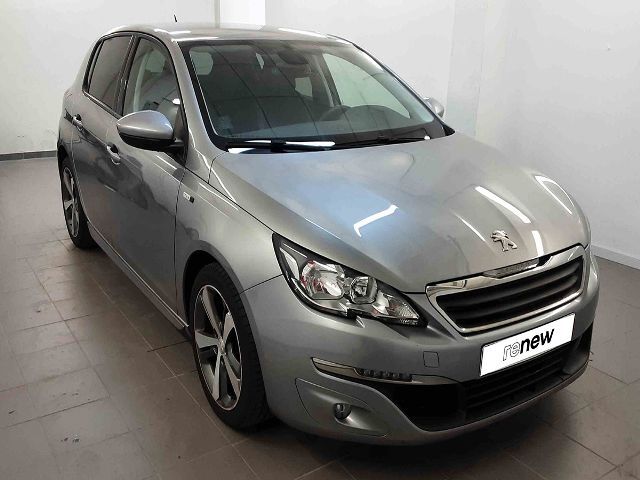 308  Cinzento