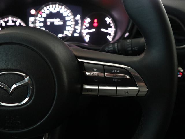 Inside CX-30  GRIS
